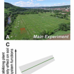 Plant diversity effects on soil multistability